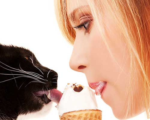 猫と一緒にアイスを食べる女性