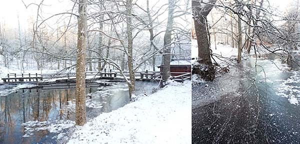 雪で真っ白になった森の風景が幻想的です