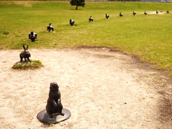 島根県立美術館の庭に何体もあるウサギ像