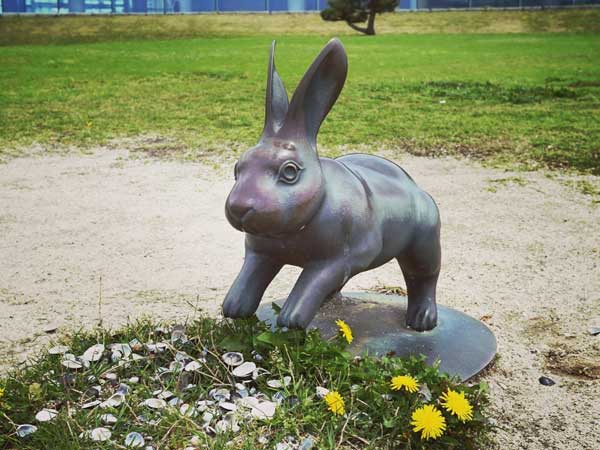 シジミが沢山置かれている島根県立美術館にあるウサギ像の一体
