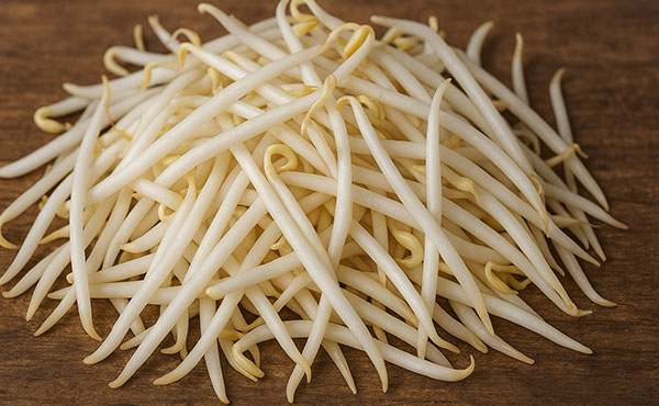 もやしの栄養価・タンパク質・効能を徹底解説|緑豆もやしとの比較も