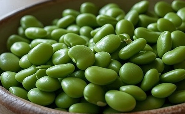 そら豆の栄養を徹底解説！皮ごと食べるメリットや枝豆との違いも紹介