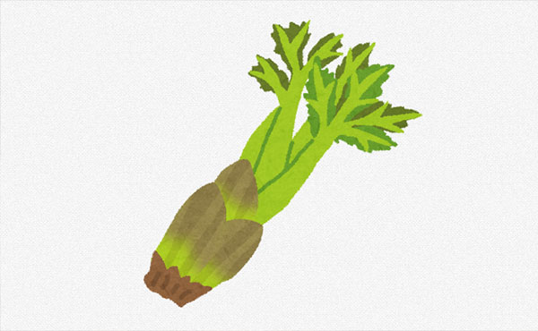 春の味覚・タラの芽の栄養とは?自然の恵みを味わうための基礎知識