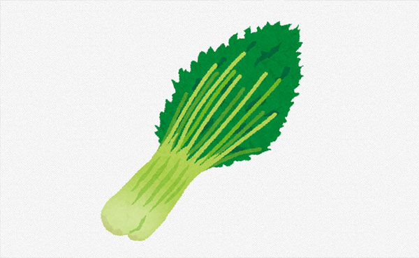 知っておきたい水菜の栄養と使いこなし術|成分・調理法・保存のポイントを徹底解説